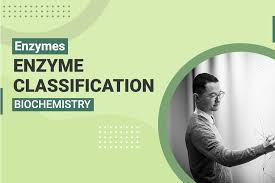 Enzyme Classification – MCAT Biochemistry | MedSchoolCoach