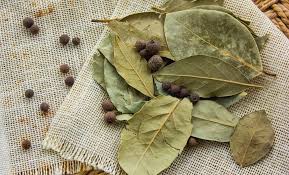 Daun salam merupakan salah satu bumbu penyedap bagi masakan. Ketahui 11 Khasiat Daun Salam Dan Efek Sampingnya Untuk Kesehatan Ubeauty