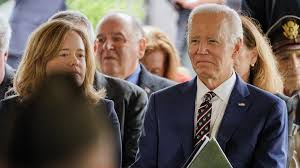 Image result for Bidens diversa