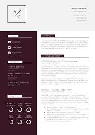 It starts with a professional cv. 13 Slick And Highly Professional Cv Templates Guru
