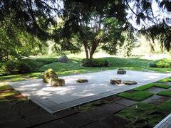 Landscape A Filled In Pool Area