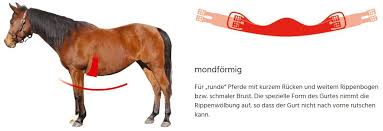 Der gurt für westernsattel ist im ellenbogenbereich deutlich zurückgeschnitten, so dass er selbst wenn er etwas nach vorne rutscht, nicht die empfindliche pferdehaut beim reiten aufscheuert. Mattes Lammfell Mond Kurzgurt Kaufen