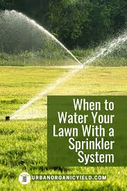 Whether it is hot and sunny, rainy, or cold will dictate the needs of your grass. How Long Do I Water My Lawn With A Sprinkler System Sprinkler System Sprinkler Lawn Sprinklers