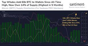Certain market data is the property of chicago mercantile. Santiment On Twitter The Uber Large Bitcoin Whale Addresses Holding 10k Btc Continue To Get Richer And Accumulate As Prices Range Particularly After The Alltimehigh Two Weeks Ago Around 90k Btc
