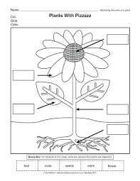 The Mailbox Plants Worksheets Kindergarten Worksheets Science Worksheets