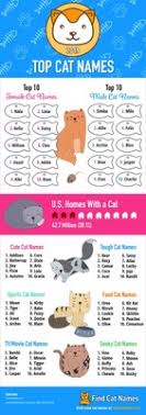 The way you want to name a cat should describe your kitty's physical or personality characteristics. The Lion King Dominates Top Cat Names Of 2019