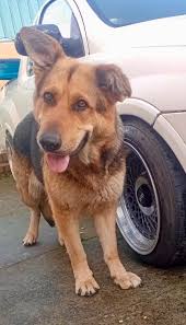 Good evening, Here are the amounts owed from today's batch so far: @Treyce  Gibbs = £12.20 Em Davies = £16.80 Angela Linda = £5.55 @Rebecca Jane Morton  = £6.55 @Sarah Aghajanzadeh = £