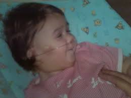 Anna Chesnut Obituary