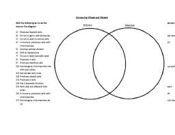 Check spelling or type a new query. Mitosis Vs Meiosis Venn Diagram By Stephen Tomasiewicz Tpt