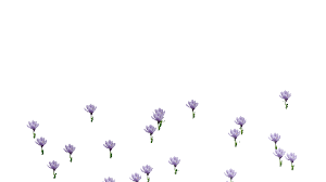 Pink transparent butterfly gif is a totally free png image with transparent background and its resolution is 566x450. Via Giphy Transparent Background Background Giphy