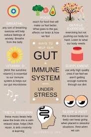 Gut Health Immune Support When Under Stress In 2020 Gut Health Adolescent Health Natural Remedies