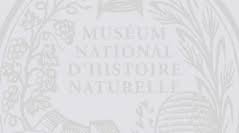 Image result for Hilsenbergia