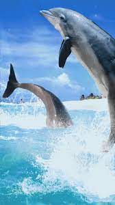 Dolphin Wallpaper Ocean Dolphin Wallpaper Backgrounds Sea Painting Dolphin In 2021 Live Wallpapers Dolphins Dolphin Painting