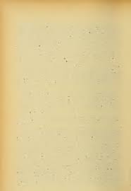 Image result for Nolletia zambesica