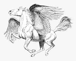 39+ unicorn pegasus coloring pages for printing and coloring. Pegasus Black And White Drawing Realistic Pegasus Coloring Pages Hd Png Download Kindpng