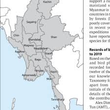 In every episode, bluey uses her limitless blue heeler energy to play elaborate games that unfold in unpredictable and hilarious ways. Pdf New And Interesting Avifaunal Records For Myanmar 2005 2019