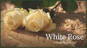 When someone close to you dies, it's natural to start thinking about getting your own affairs in order. Funeral Flowers And Their Meanings The Ultimate Guide Love Lives On