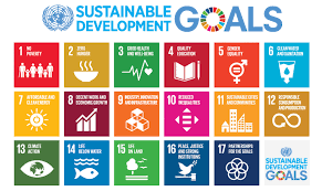 Sustainable Development Goals Sdgs And Disability In 2020 Sustainable Development Goals Sustainable Development Un Sustainable Development Goals