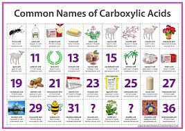 Common Names Of Carboxylic Acids James Kennedy