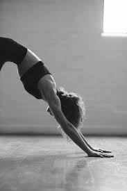 Yoga Stock Photos Yoga Photoshoot Yoga Photography Yoga Pictures