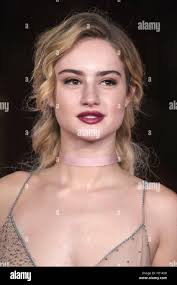 Tramp's hi-res stock photography and images