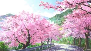 Check spelling or type a new query. Anime Tree Blossom Aesthetic Wallpapers Wallpaper Cave