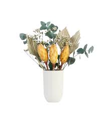Grow a collection of the finest soft toys australia has to offer with our extensive selection of plush toys and stuffed toys at koch & co. Shida Preserved Flowers Fresh Look Dried Flowers Delivered