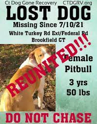 Latest dogs, cats, pets up for adoption in the brookfield area; Ecz0nfscifrqlm