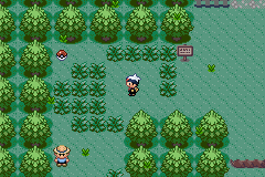 All of the grass type pokemon pixel art view map now! Tall Grass Bulbapedia The Community Driven Pokemon Encyclopedia