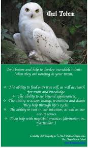 Owl Facts Snowy Owl Owl Spirit Animal Spirit Animal Meaning Spirit Animal Totem