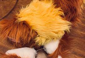 Angry Red Panda Ears and Tail Cosplay Set | Aetherwears