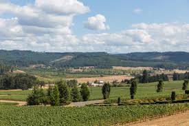 Search for other campgrounds & recreational vehicle parks in dayton on the real yellow pages®. Willamette Valley Road Trip Eugene Cascades Oregon Coast