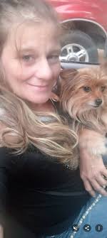 Peekapoo 1st Generation 8 weeks old. 🥰🥰🥰❤️😍😍😍