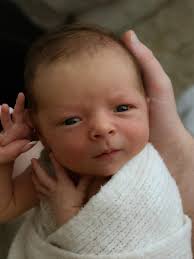 Bundles of joy welcoming their new little love✨