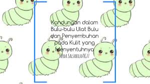 Pada umumnya, bristle worm ini berwarna cokelat kemerahan atau cokelat terang dan terdapat garis yang cerah pada tengah tubuhnya.seluruh tubuhnya ditutupi oleh duri berkapur dengan bulu. Kandungan Dalam Bulu Bulu Ulat Bulu Dan Penyembuhan Pada Kul By Firda Salsabila