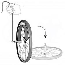 Gattung der knochenfische aus der familie der lachsfische. Prazession Der Erdachse Teleksop Spezialisten