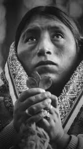 Elisa Guerra Doce es Profesora Titular de Prehistoria en la Universidad de  Valladolid (España) desde 2013. Ha sido Profesora Visitante en la  Universidad de Cambridge (Reino Unido) entre 2022 y 2023, desarrollando