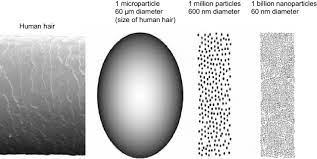 To help put this number in perspective, the thickness of both a human hair and a standard piece of paper are 100 microns. Comparative Sizes For From Left To Right Human Hair 60 Âµm Diameter Download Scientific Diagram