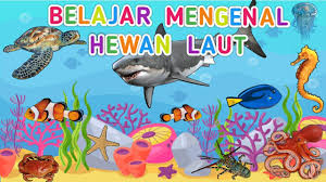 Lihat ide lainnya tentang gambar hewan lucu, gambar hewan, hewan. Belajar Mengenal Nama Hewan Laut Nama Nama Ikan Nama Dan Suara Hewan Laut Youtube