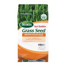 Look for a raised area or blister which is the rust postules like we see in wheat and corn. Scotts Turf Builder Bermuda Grass Full Sun Grass Seed 5 Lb Ace Hardware