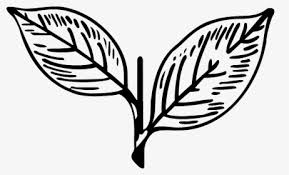 Ammk Amma Makkal Munnetra Kazhagam Flag Png Transparent Png Transparent Png Image Pngitem No matter what background your photo currently has, with this template you can easily replace it with a better one. amma makkal munnetra kazhagam flag png