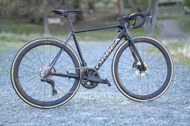 Image result for Orbea umbracula