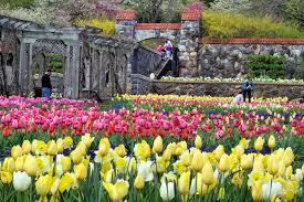Maybe you would like to learn more about one of these? Biltmore Blooms Spring Flowers Guide