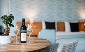 On holiday with your dog; Hotel Zomerlust Zoutelande Zeeland Strandvakantie