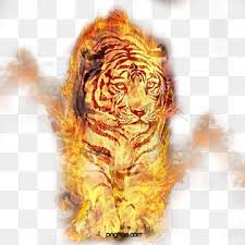 O Tigre Animal O Tigre Animais Selvagens Imagem Png E Vetor Para Download Gratuito Illustration Face Artwork Pet Tiger
