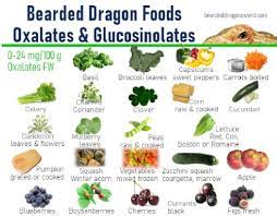 Can My Bearded Dragon Eat Peas Stuffed Sweet Peppers Cooked Cucumber Squash Vegetable