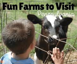 We are sorry for to say, we are permanently closed. 15 Kid Friendly Farms To Visit Petting Farms Family Fun