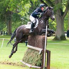 Get our free weekly enewsletter about horses. Black Tie Ii Oliver Townend