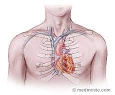The risk increases with the number of broken ribs. Heart Location