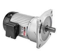 Efficiency and Precision in Motion - Vertical Gear Motors ...